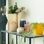 Appartement Park Penthouse *