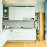 Park Penthouse Appartement Druskininkai