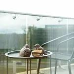 Appartement Park Penthouse Druskininkai