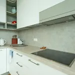 Park Penthouse Appartement Druskininkai
