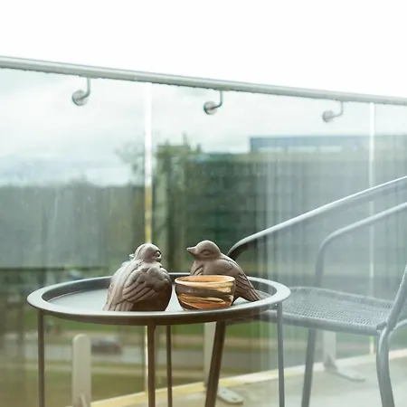 Apartament Park Penthouse Druskieniki