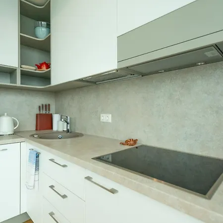 Park Penthouse Apartment Druskininkai