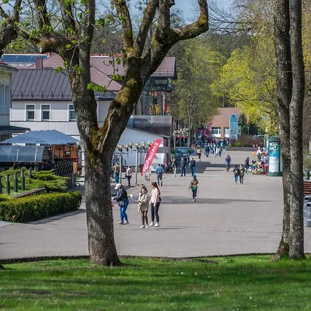 Park Penthouse Druskieniki