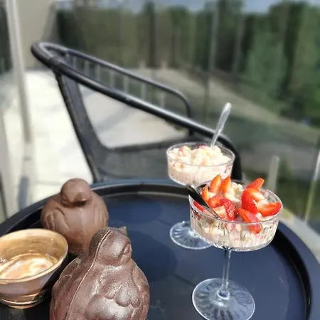 Park Penthouse Apartment Druskininkai
